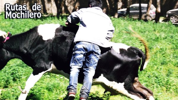 Lee más sobre el artículo ESTUDIO DEMUESTRA QUE VIAJAR TE HACE FELIZ