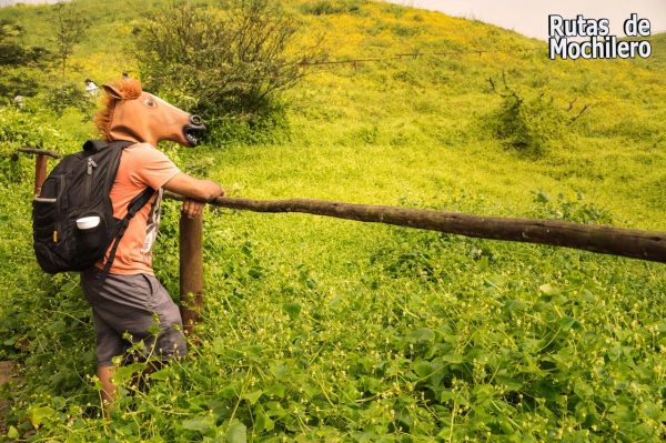 Lee más sobre el artículo HACIENDO TREKKING EN LAS LOMAS DE LACHAY