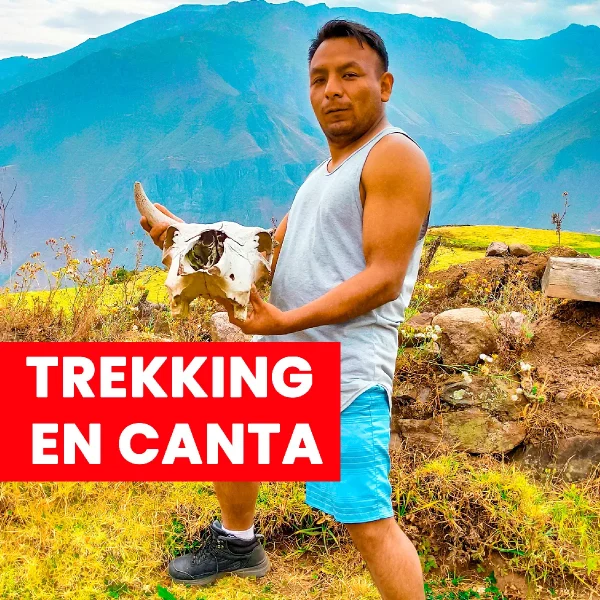 Lee más sobre el artículo <strong>FULL DAY CERCA DE LIMA, PAISAJE HERMOSO</strong>